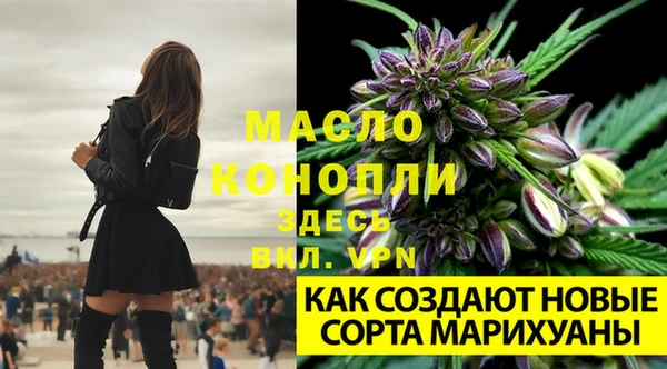 a pvp Богородицк